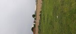 100 Sq.Yd. Plot in Dhanauli