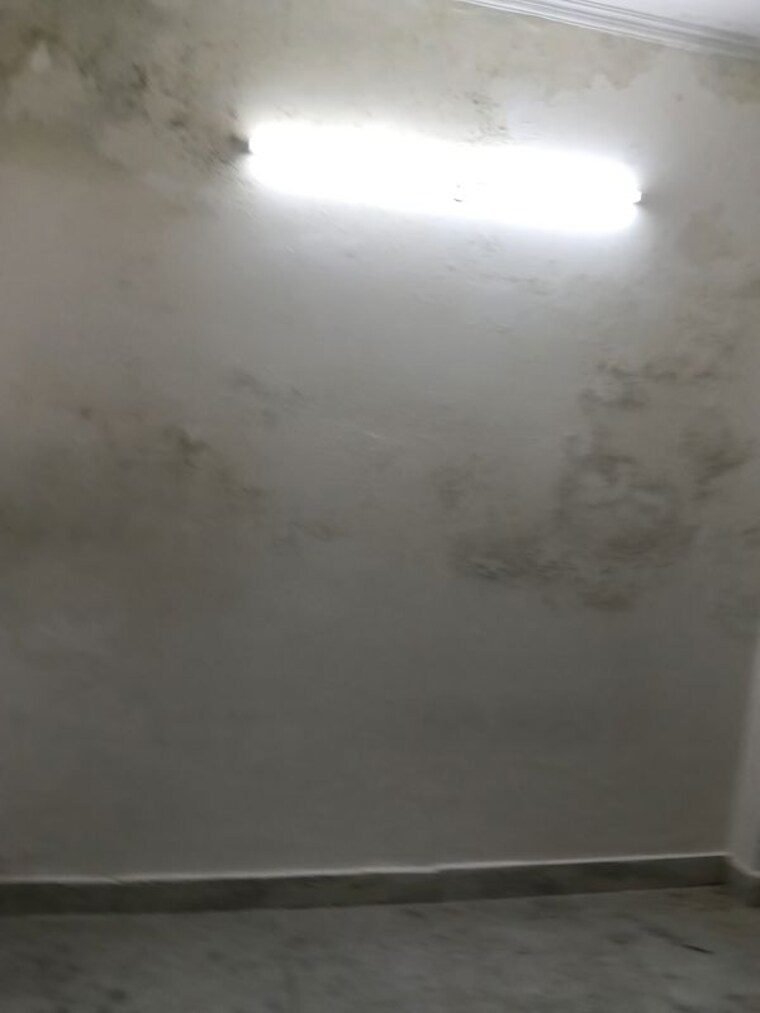 Room, saket 1 RK 300 Sq.Ft. Builder Floor In Saket Delhi 10621100