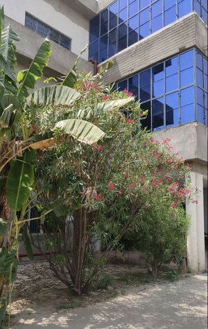 Office Space – Exterior View View at Bisawar - for Sale