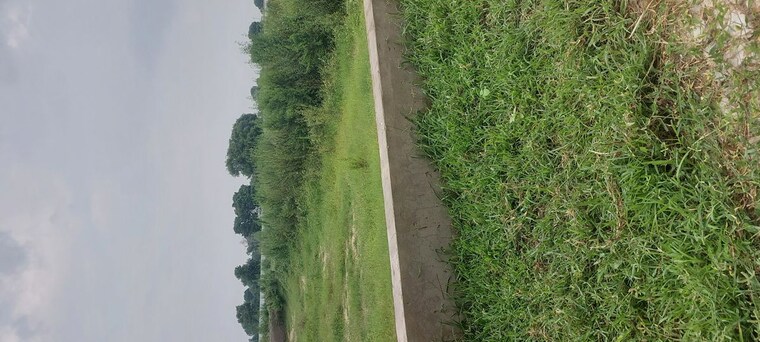 undefined, agra bypass  125 Sq.Yd. Plot In Agra Bypass Agra 10610550