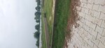 125 Sq.Yd. Plot in Agra Bypass