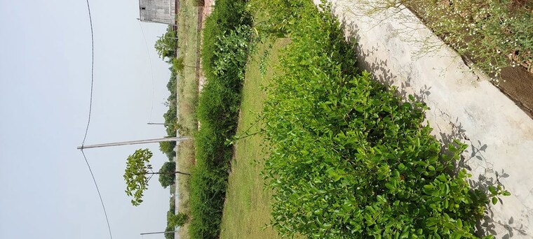 Garden, agra bypass  150 Sq.Yd. Plot In Agra Bypass Agra 10621046