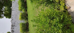  Plot – Garden View at Agra Bypass - for Sale