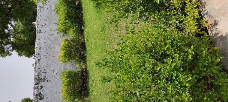 Garden, agra bypass  150 Sq.Yd. Plot In Agra Bypass Agra 10621046