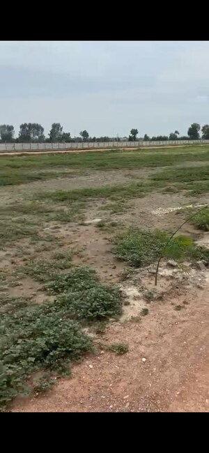 Plot Area in  Plot at Chhata – for Sale