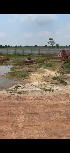Plot Area in  Plot at Chhata – for Sale