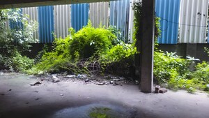  Land – Garden View at Vejalpur - for Sale