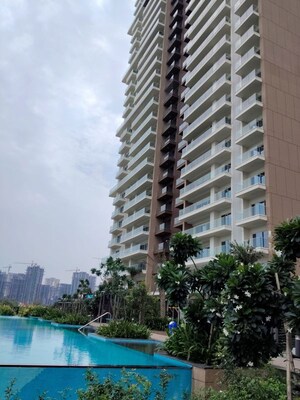 3.5 BHK Apartment For Sale in Kalpataru Vista, Sector 128