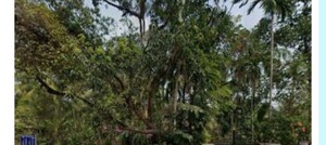  Land For Sale in Parappara