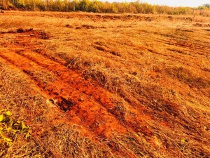 Plot Area in  Plot at Paradise Greens, Kamshet – for Sale