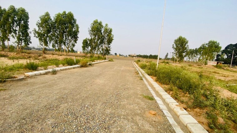 undefined, altus-prime  315 Sq.Yd. Plot In North Mullanpur Chandigarh 10622347