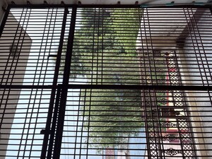  Warehouse – Exterior View View at Kanhaiya Nagar - for Rent