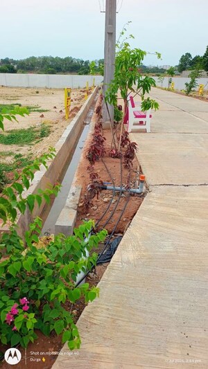   Plot at Vadlamudi – for Sale