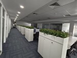 1200 Sq.Ft. Office Space in Sector 16