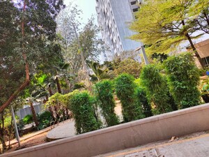1.5 BHK Apartment For Rent in Pate West Coast Park, Shivane