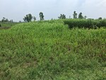5400 Sq.Ft. Land in Kursi Road