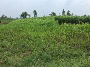  Land For Sale in Kursi Road