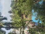 2.5 BHK + Study Room 1200 Sq.Ft. Apartment in Arunodaya Apartment
