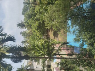 2.5 BHK + Study Room Apartment For Rent in Arunodaya Apartment in Parvati Paytha, Pune