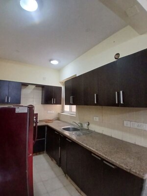 Kitchen in 3 BHK Builder Floor at Ip Colony – for Rent