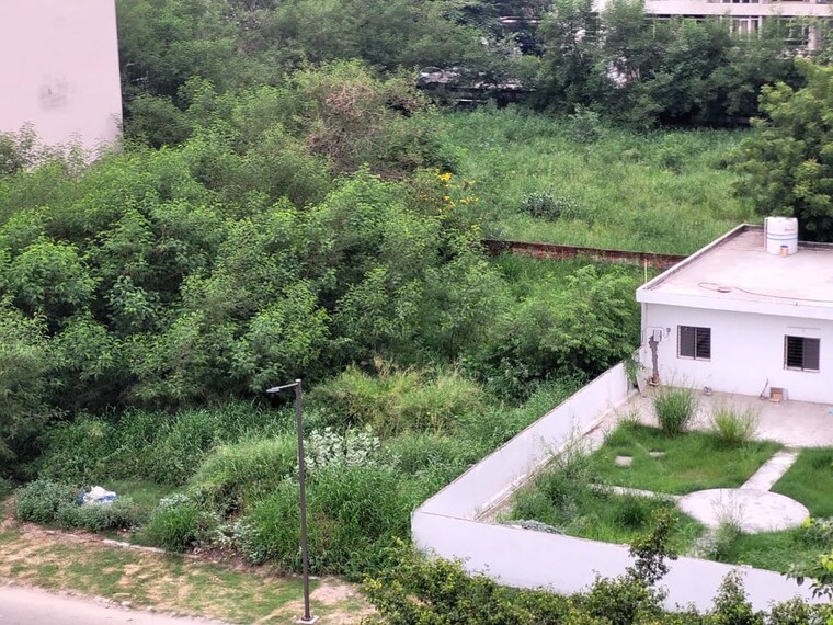 Garden, jaypee-greens-wish-town-savanna-villas  238 Sq.Yd. Plot In Sector 128 Noida 10622879