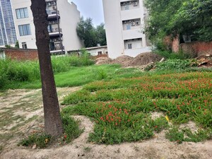  Plot – Garden View at Jaypee Greens Wish Town Savanna Villas, Sector 128 - for Sale