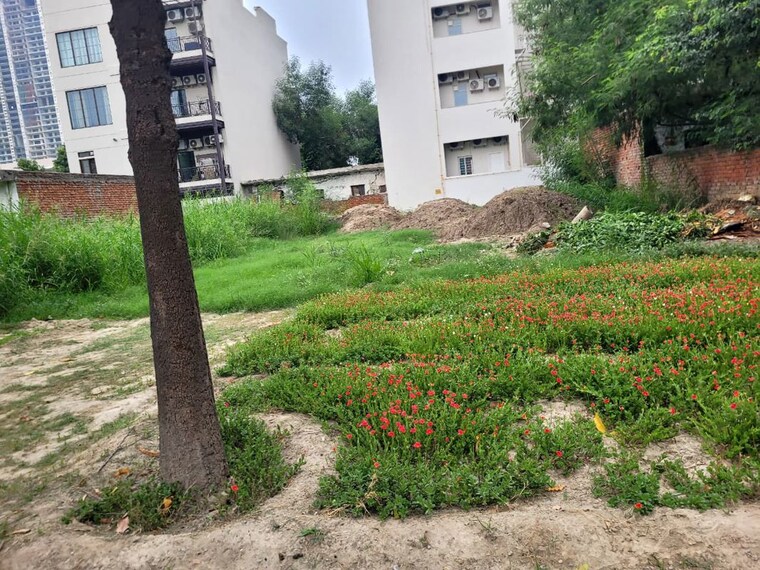 Garden, jaypee-greens-wish-town-savanna-villas  238 Sq.Yd. Plot In Sector 128 Noida 10622879