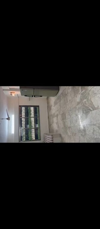 1 BHK Apartment For Rent in Mazgaon Apartment in Byculla, Mumbai