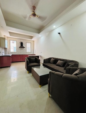 Living Room in 2 BHK Builder Floor at Sector 52 – for Rent