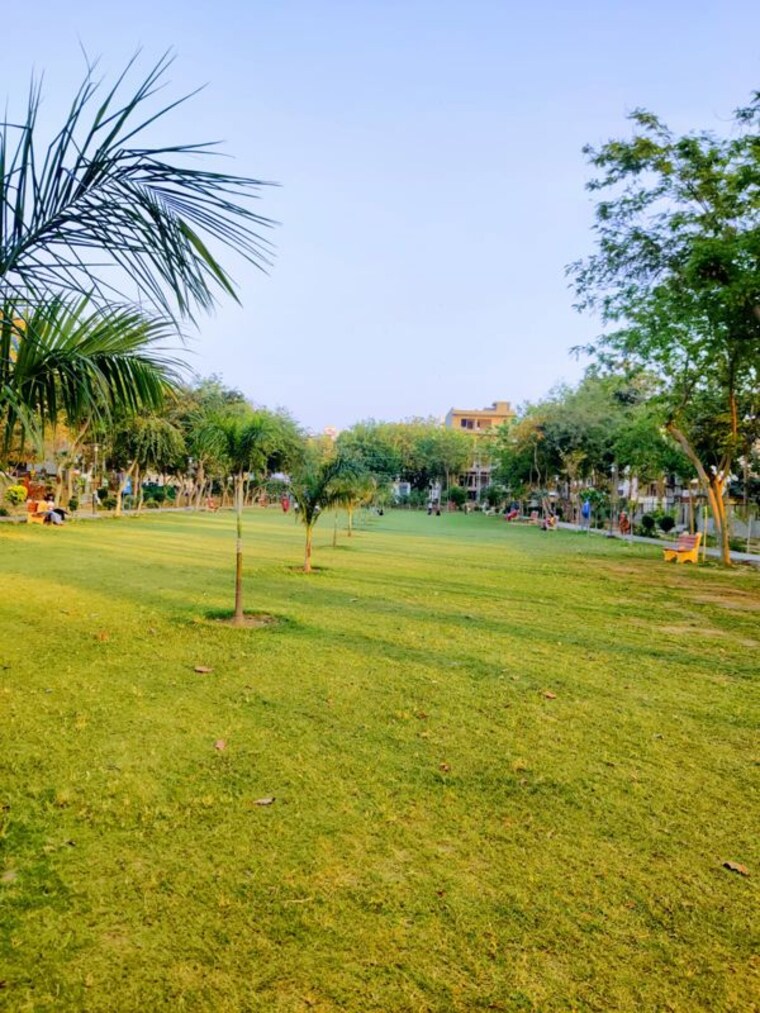 Garden, sector 14 1 RK 500 Sq.Ft. Independent House In Sector 14 Gurgaon 10623005
