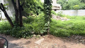  Plot – Exterior View View at Mayuri Nagar - for Sale