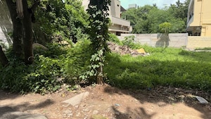  Plot – Nearby View at Mayuri Nagar - for Sale