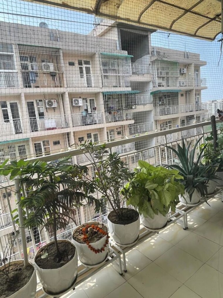 Exterior View, mittal-rajnagar-residency 3.5 Bedroom 2145 Sq.Ft. Apartment In Raj Nagar Extension Ghaziabad 10623314