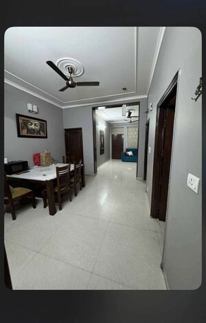Parking in 3 BHK Builder Floor at Sector 23 – for Rent