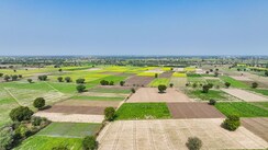 Plot For Sale in Palm Green