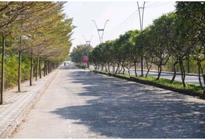 Plot For Sale in Katara