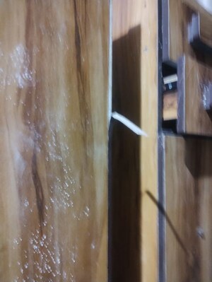 1 BHK Apartment For Rent in MAAD Nakoda Heights, Nalasopara West