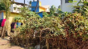  Independent House – Garden View at Alibag - for Sale