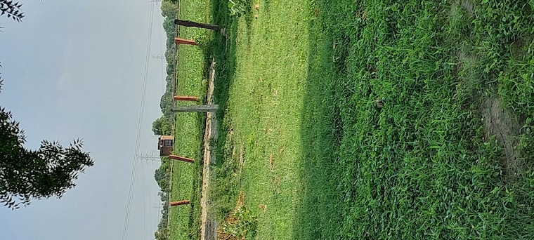 Garden, pachgain khera  100 Sq.Yd. Plot In Pachgain Khera Agra 10624361