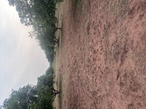  Plot – Garden View at Vijayawada One Town - for Sale