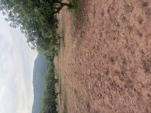  Plot – Garden View at Vijayawada One Town - for Sale