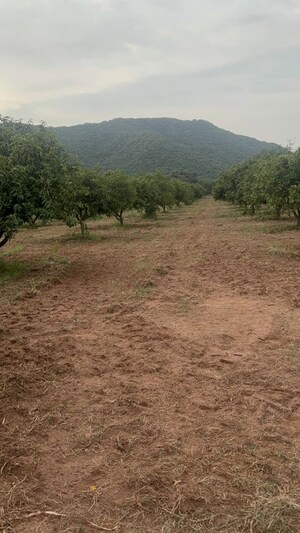 Plot Area in  Plot at Vijayawada One Town – for Sale