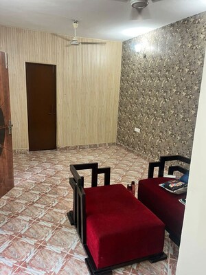 3 BHK Builder Floor For Rent in Saket