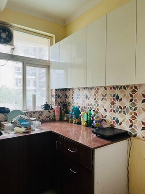 Kitchen in 3 BHK Apartment at Rise Organic Ghar, Lal Kuan – for Sale
