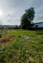 4320 Sq.Ft. Land in Bongara