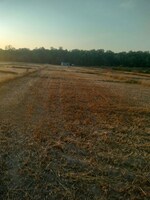 200 Sq.Yd. Plot in Sherpur