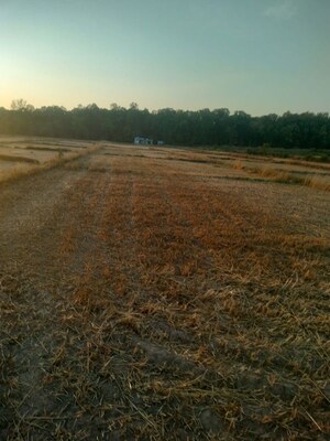  Plot For Sale in Sherpur