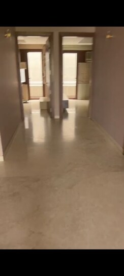 3 BHK + Study Room Builder Floor For Rent in Sector 19