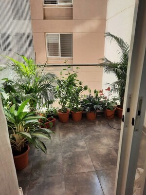 Balcony in 3 BHK Apartment at Patil Nagar – for Sale