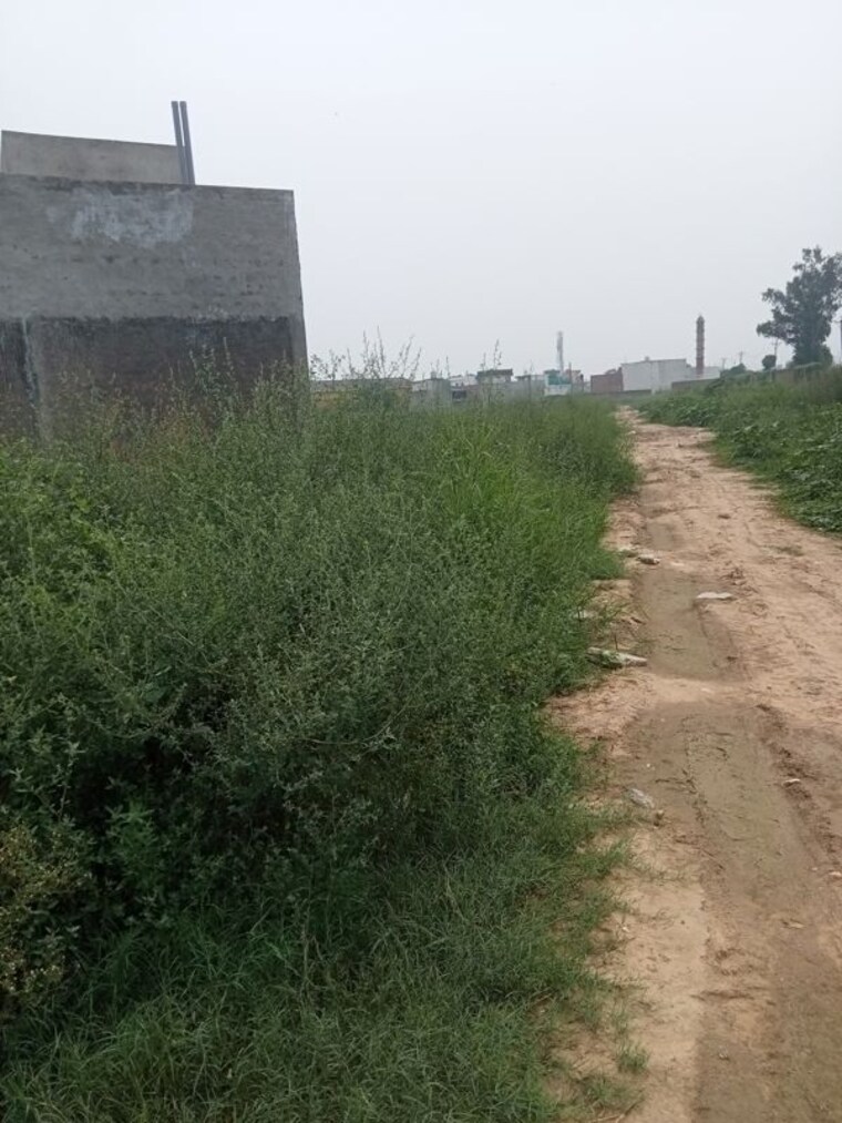undefined, gohana road  537 Sq.Ft. Plot In Gohana Road Panipat 10625360